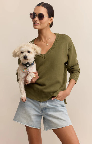 All Around Cotton V-Neck Sweater