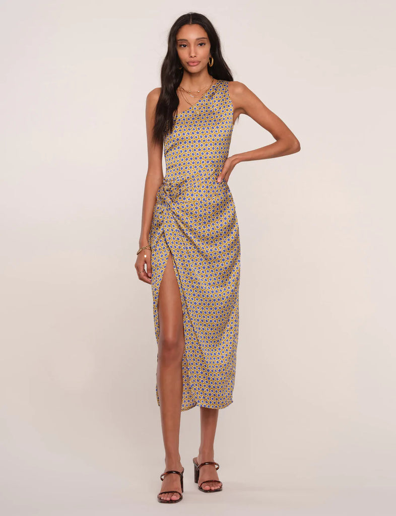 ROBIN DRESS