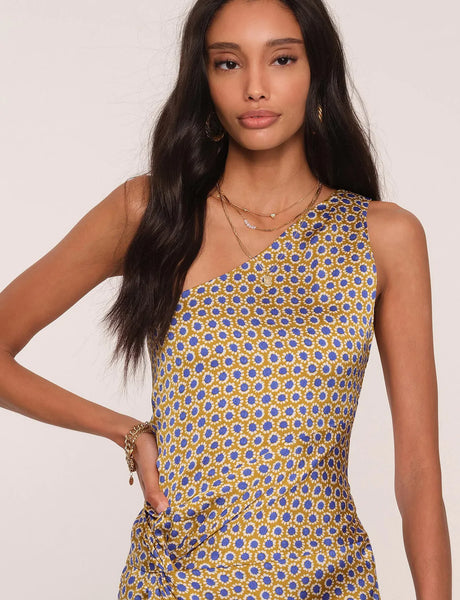 ROBIN DRESS