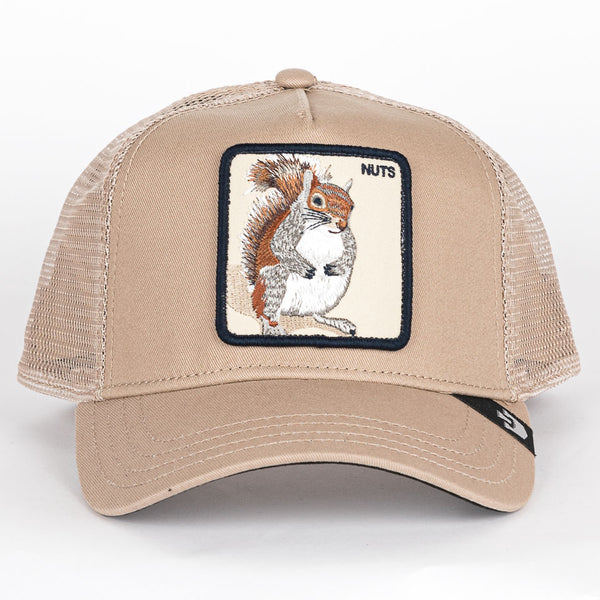 The Nuts Squirrel