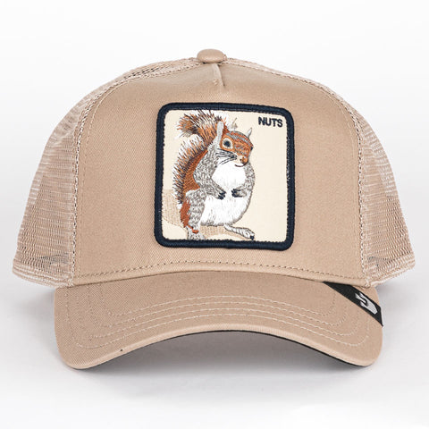The Nuts Squirrel