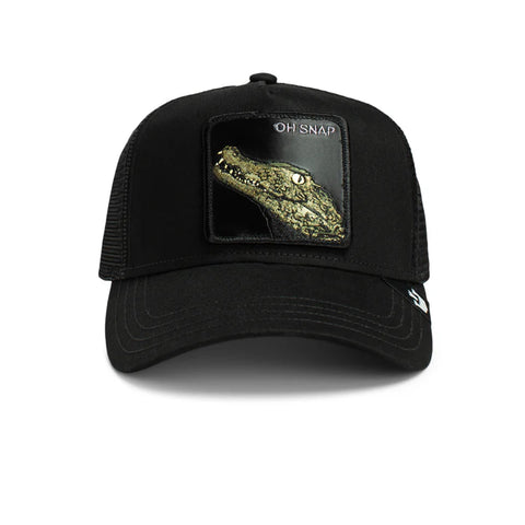 Oh Snap Alligator