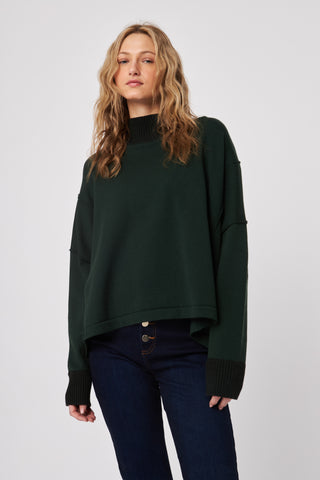 Apollo Turtleneck Sweater