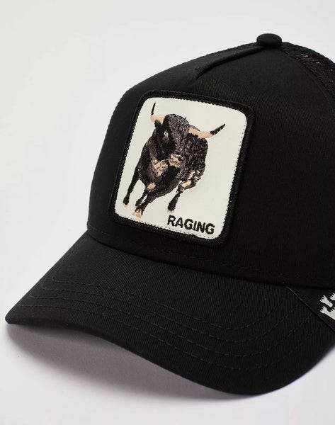 RAGING BULL
