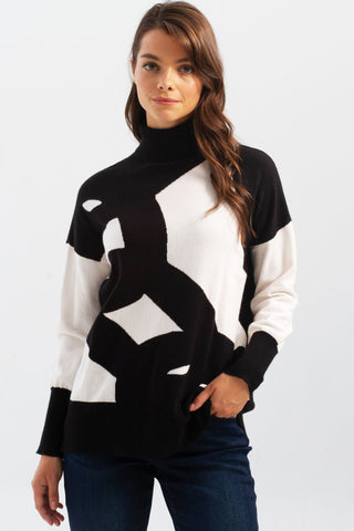 PRINTED TURTLENECK SWEATER