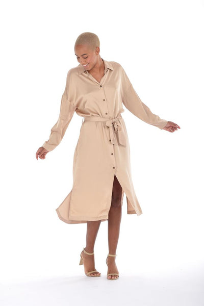 RAYNE SHIRT DRESS